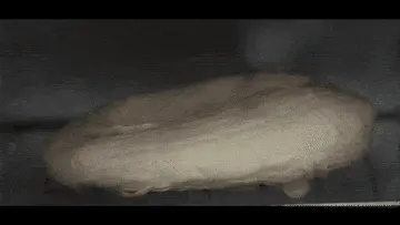 1 (4)-min.gif