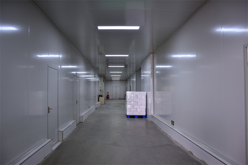 Internal Environment01dqp