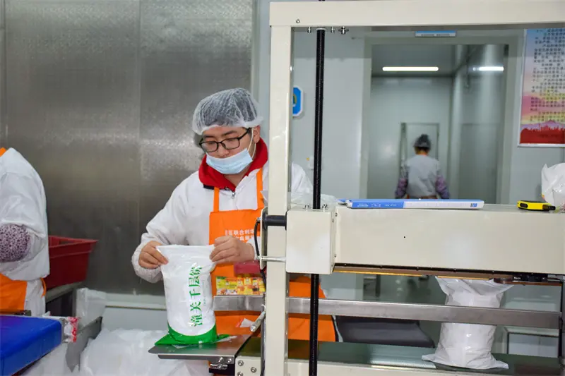 Cake embryo sorting and packaging059ob